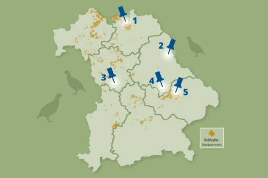Schutzmaßnahmen | LBV