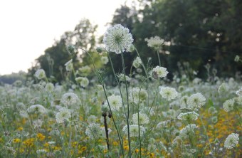Aichach-Friedberg | © Claudia Neumüller (Aichach-Friedberg)