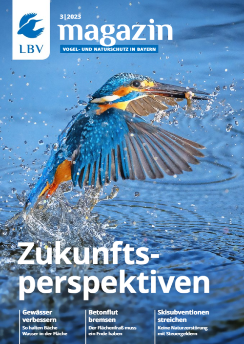 Cover LBV Magazin Ausgabe 03/2023 mit einem Eisvogel auf dem Cover und dem Schriftzug Zukunftsperspektiven