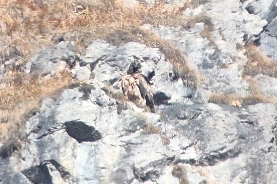 Dagmar am Fels sitzend  |© Silke Moll