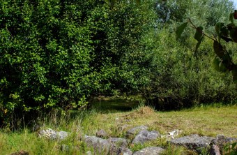 Ostallgäu | © Daniel Schußmann (Ostallgäu)