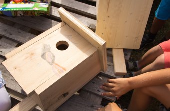 Fertiger Staren-Nistkasten liegt auf einem Tisch, darauf steht ein Name (Mayla) und ein gemalter Star | © memo AG