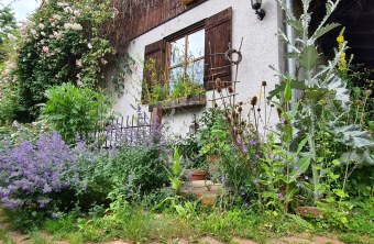 Garten von Familie Hellmeier im Lkr. Traunstein | © Charlotte Hellmeier