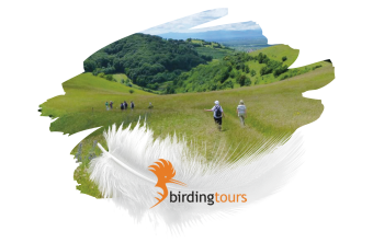 Reise für 2 Personen von birdingtours
