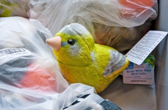 | © Katharina Hubmann