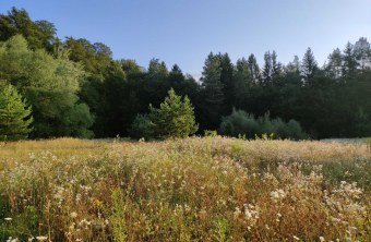 Altötting | © Gudrun Furtner (Altötting)