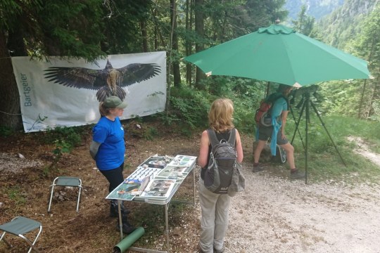 Bartgeier Infostand| © LBV