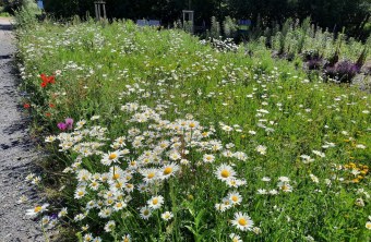 Schweinfurt | © Klaus Scheder (Schweinfurt)