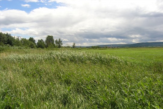 Altmühlwiesen | © Christiane Geidel