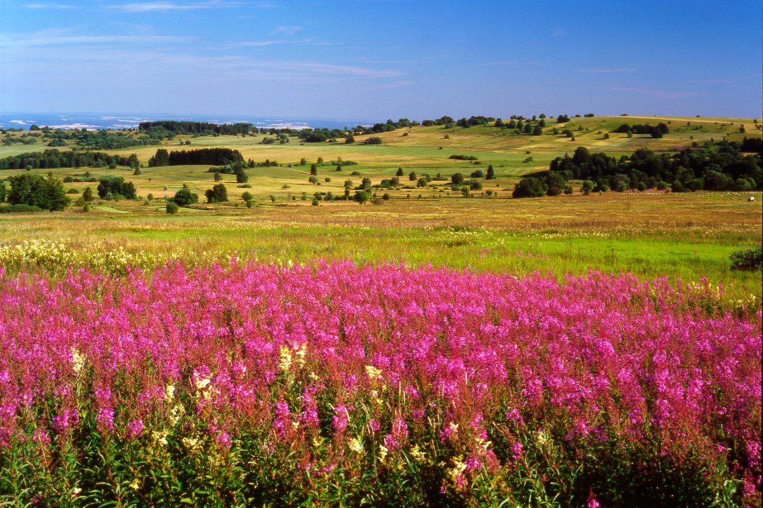 Bunte und vielfältige Landschaft | © Rudolf Diemer