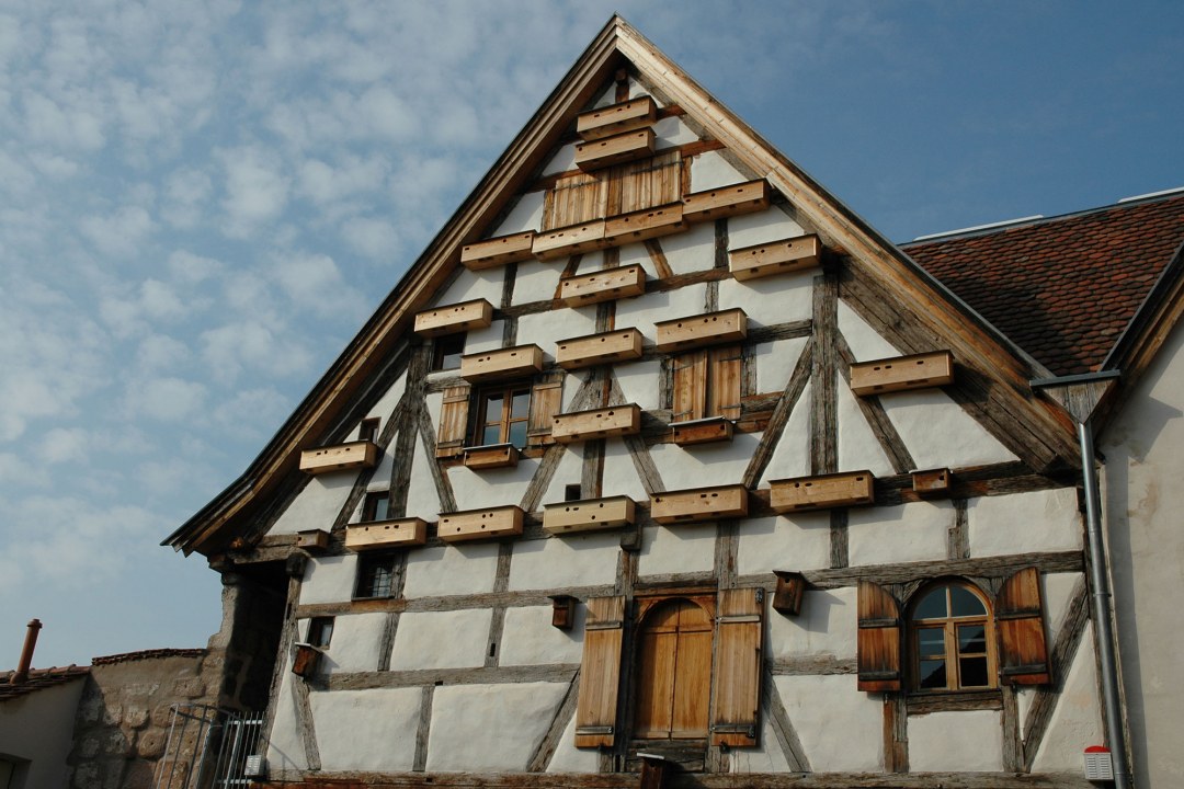 Altes Fachwerkhaus mit vielen Nistkästen für Mauersegler | © Peter Bria