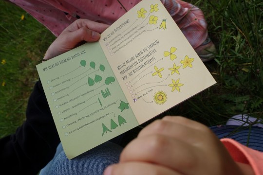 LBV-Beobachtungshilfen | © LBV Kindergarten_Web