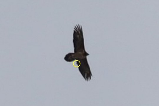 Dagmar oder Begleitung  |© Petra Schad