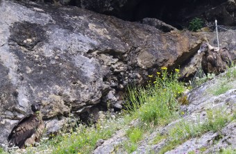 Recka und Dagmar zusammen in der Nische | © Markus Leitner