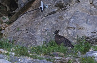 Recka vor der Kamera | © Markus Leitner