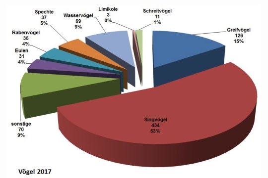 Kuchendiagramm der Vögel, die 2017 in der Vogelstation Regenstauf abgegeben wurden: 53% Sinvögel, 16 % Greifvögel, 11 % Schreitvögel, 9 % Wasservögel, 5 % Spechte, 4 % Rabenvögel, 4 % Eulen, 9 % Sonstige und 3 Limikolen | @ LBV