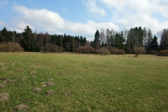 Georgenberg| © LBV
