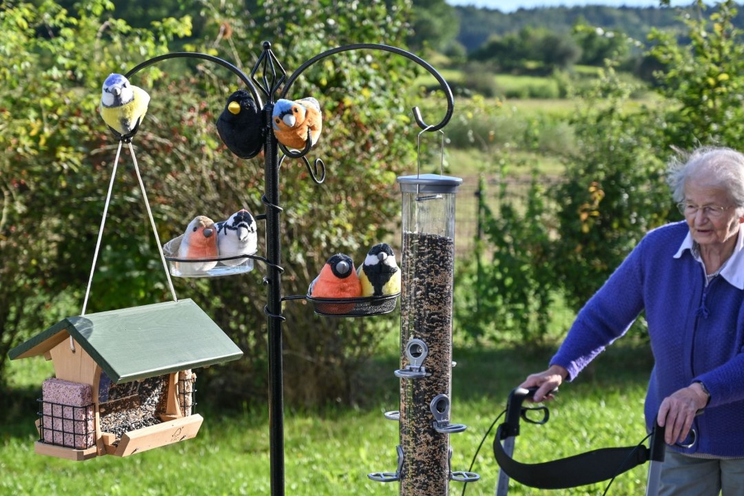 Seniorin-Plüschvögel-Futterstation | © Tobias Tschapka