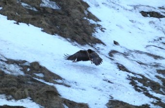 Sisi im Januar 2024 | © Silke Moll