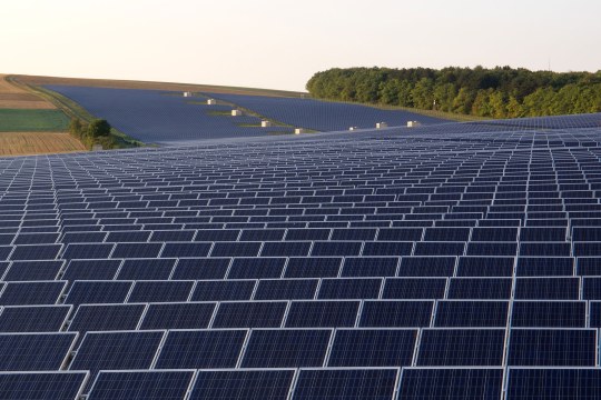 Landschaft mit einer Menge Solaranlagen. Am rechten Horizont sieht man mehrere Bäume stehen | © Oliver Wittig