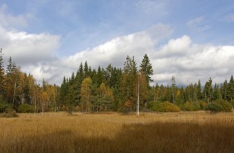 Sankt Oswald | © J. Römheld