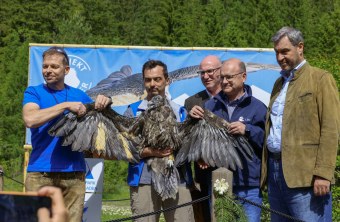 Toni Wegscheider (LBV), David Schuhwerk (LBV), Landrat Bernhard Kern, LBV-Vorsitzender Dr. Norbert Schäffer und Ministerpräsident Dr. Markus Söder mit dem jungen Bartgeier Wiggerl | © Markus Leitner
