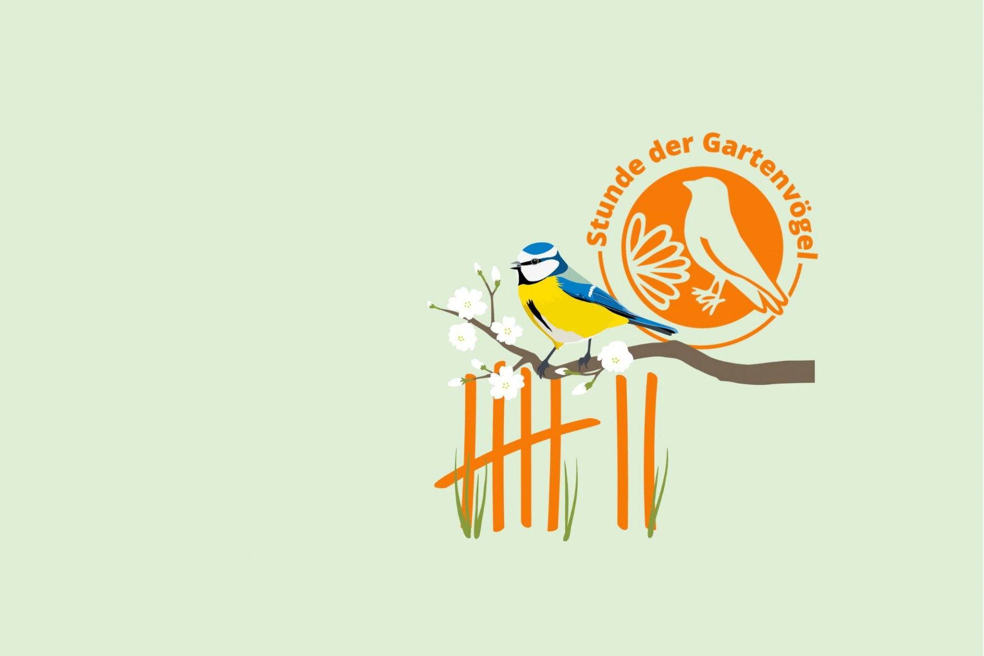 Headerbild Stunde der Gartenvögel in Bayern  mit einer stilisierten Blaumeise und dem Text Zähl mit uns. Vom 9.-12. Mai 2024