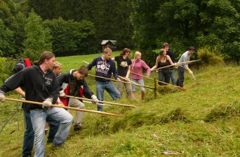 Wiesenmahd Jugendliche | © Richard Fischer