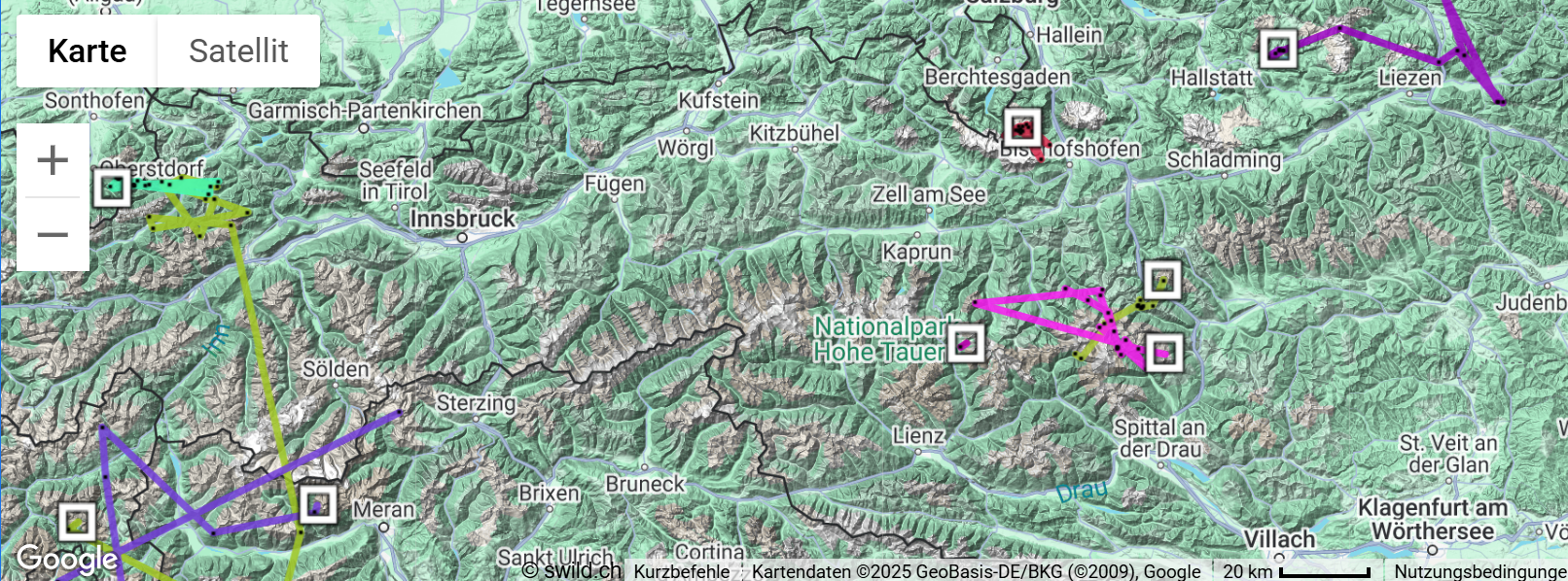 Karte mit allen Vögeln