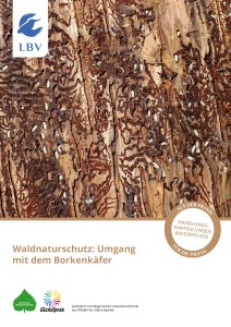 Waldnaturschutz: Borkenkäfer