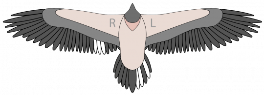 Bleichmuster von Dagmar