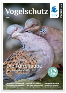 Cover des Vogelschutzmagazins Ausgabe 4/2019, auf dem Cover sind zwei Turteltauben