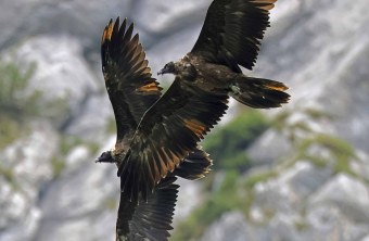 Dagmar und Recka im Parallelflug, Dagmar im Vordergrund | © Markus Leitner