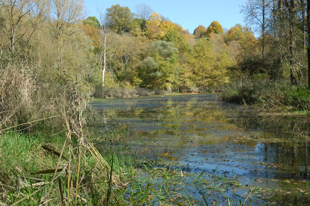 Donauauen | © Dr. Eberhard Pfeuffer