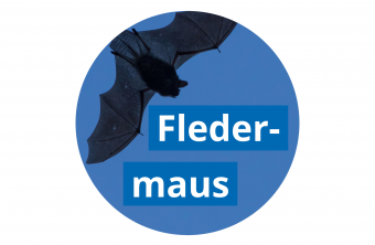 Fledermaus