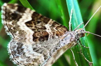 Würzburg |  © Julia Gawlik (Würzburg)