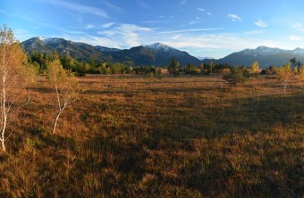 Kochelmoor | © Dr. Olaf Broders