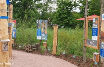 Ein Infostand mit Tafeln und Nistkästen informiert über Naturschutzprojekte des LBV auf der Landesgartenschau 2025.