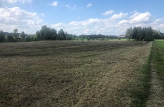 Landsberg | © Martin Felber (Landsberg)