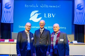 Norbert Schäffer, Walter Jonas und Ludwig Sothmann