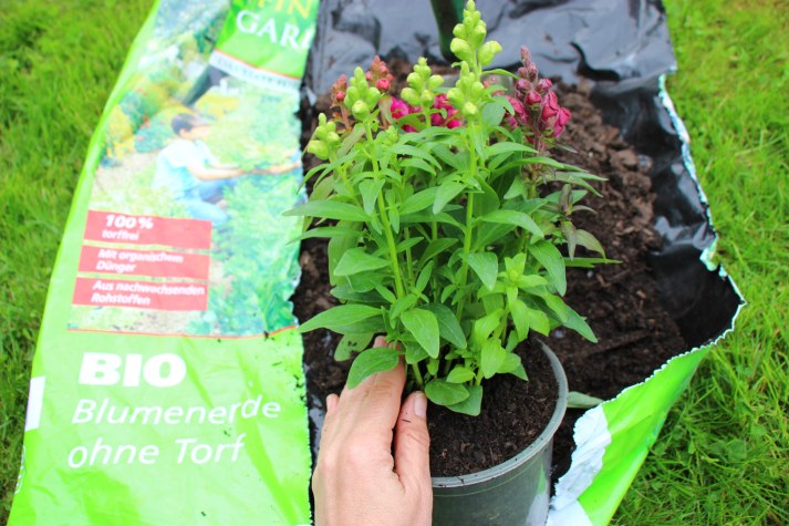 Torffrei gärtnern | © Peter Bria