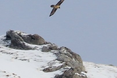 Dagmar oder Begleitung  |© Petra Schad