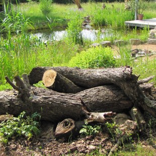Totholz liegt im Garten, dahinter ein naturnaher Gartenteich und eine Terrasse | © Birgit Helbig