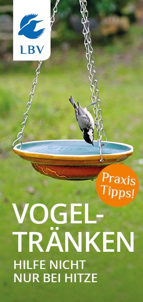 Cover LBV-Flyer Vogeltränke