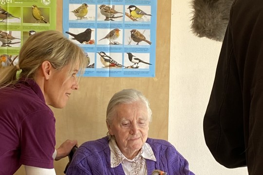 | © Kathrin Lichtenauer LBV