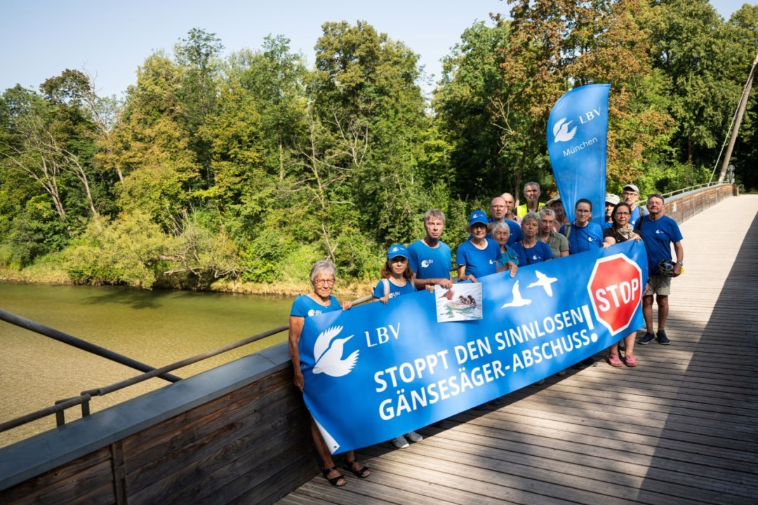 Protest-_Gänsesäger Abschuss | © Lukas Barth-Tuttas