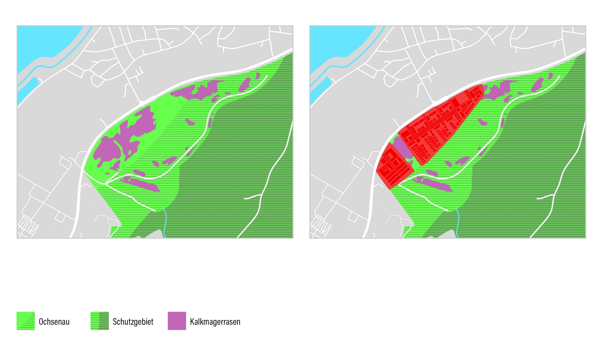 Bedeutsame Flächen des Magerrasen liegen in geplanter Bebaubung | © Mostert.Art