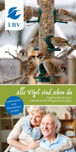 Flyer Alle Vögel sind schon da