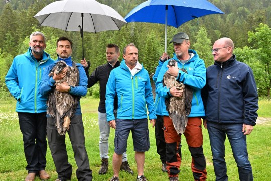 v.l.n.r.: Dr. Roland Baier, David Schuhwerk, Hans Pohlmann, Thorsten Glauber, Ulrich Brendel, Dr. Norbert Schäffer | © Hansruedi-Weyrich