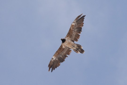 Bavaria | © Kilian Frühholz